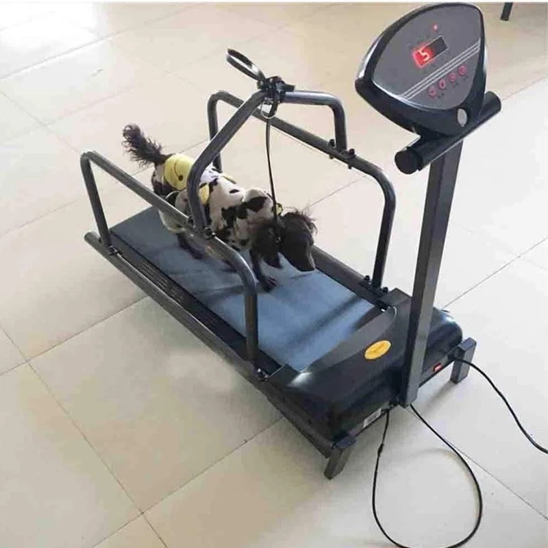 treadmill for dogs treadmill for dogs