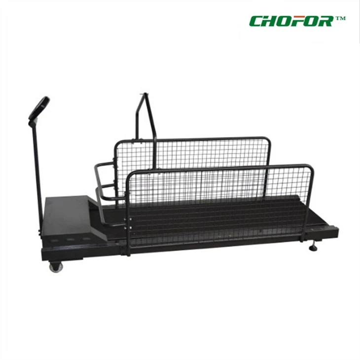 Dog Running Machine